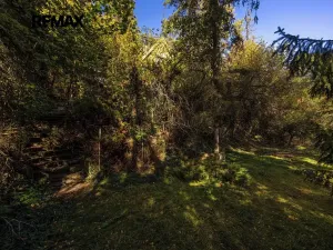 Prodej rodinného domu, Plzeň, Na Roudné, 100 m2
