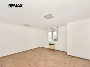 Pronájem bytu 1+kk, Plzeň, Pařížská, 41 m2