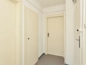 Pronájem bytu 1+kk, Plzeň, Pařížská, 41 m2