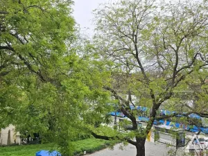Pronájem bytu 4+kk, Praha - Nové Město, Podskalská, 106 m2