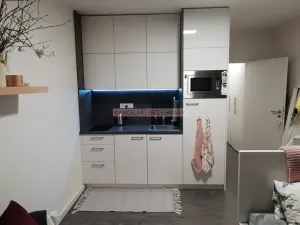 Pronájem bytu 1+kk, Zlín, třída Tomáše Bati, 25 m2