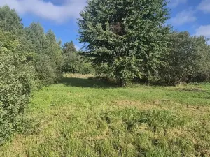 Prodej pozemku pro bydlení, Jestřebí, 1898 m2