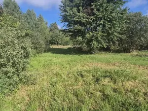 Prodej pozemku pro bydlení, Jestřebí, 1898 m2