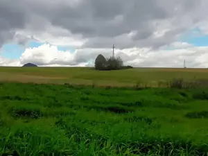 Prodej louky, Sloup v Čechách, 137278 m2