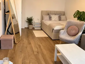 Pronájem bytu 1+1, Plzeň, Rabštejnská, 39 m2