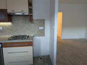 Pronájem bytu 1+kk, Opava, Edvarda Beneše, 36 m2