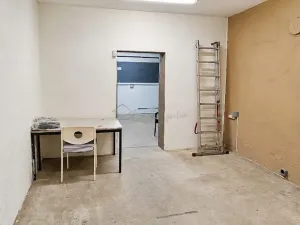 Pronájem skladu, Přerov - Přerov I-Město, Dvořákova, 66 m2