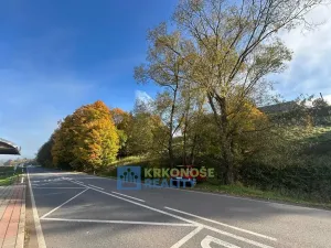 Prodej pozemku, Chotěvice, 1245 m2