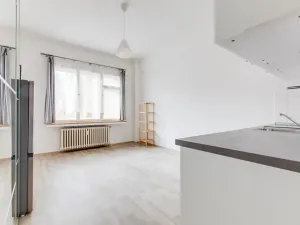 Pronájem bytu 1+kk, Praha - Karlín, Sokolovská, 28 m2