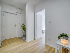 Pronájem bytu 2+1, Most, Zdeňka Fibicha, 55 m2