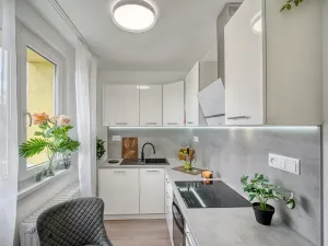 Pronájem bytu 2+1, Most, Zdeňka Fibicha, 55 m2
