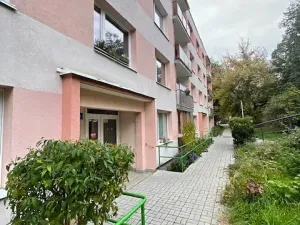 Prodej bytu 2+1, Ústí nad Labem, Tolstého, 60 m2