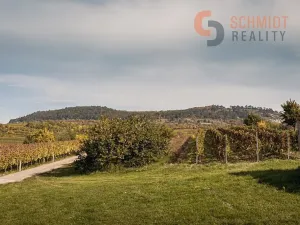 Prodej rodinného domu, Perná, 300 m2