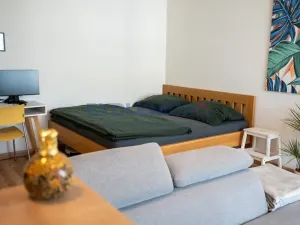 Prodej bytu 1+kk, České Budějovice, České Vrbné, 45 m2