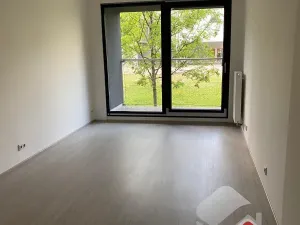 Pronájem bytu 1+kk, Brno, Hvězdová, 30 m2