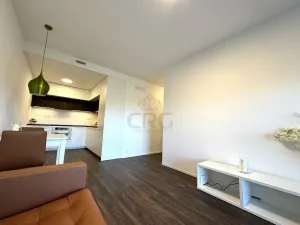 Pronájem bytu 2+kk, Brno - Veveří, Lidická, 55 m2