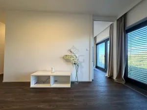 Pronájem bytu 2+kk, Brno - Veveří, Lidická, 55 m2