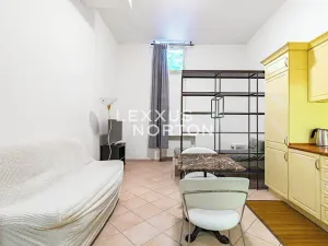 Pronájem bytu 1+kk, Praha - Vinohrady, Italská, 41 m2