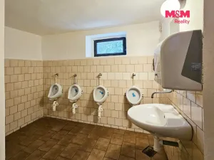 Prodej restaurace, Mařenice - Dolní Světlá, 598 m2