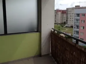 Pronájem bytu 1+kk, Olomouc, Peškova, 30 m2