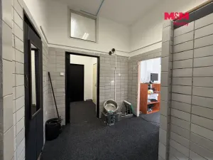 Pronájem obchodního prostoru, Karviná - Ráj, Ciolkovského, 56 m2