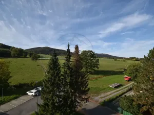 Prodej bytu 3+1, Česká Ves, 70 m2