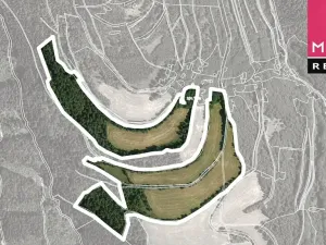Prodej louky, Stráž nad Ohří, 176908 m2