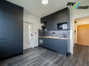 Prodej bytu 1+1, Milovice, Armádní, 33 m2