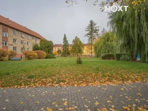 Prodej bytu 3+kk, Mohelnice, Severní, 61 m2