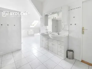 Pronájem bytu 4+1, Teplice, Potěminova, 160 m2