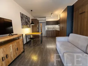 Pronájem bytu 1+kk, Praha - Karlín, Sokolovská, 31 m2