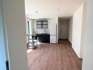Pronájem bytu 2+kk, Brno - Štýřice, Sovinec, 42 m2