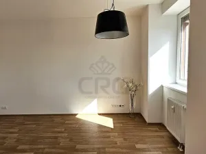Pronájem bytu 1+kk, Brno - Zábrdovice, Tkalcovská, 32 m2