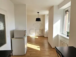 Pronájem bytu 1+kk, Brno - Zábrdovice, Tkalcovská, 32 m2