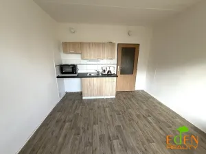 Pronájem bytu 1+kk, Plzeň, Dlouhá, 20 m2