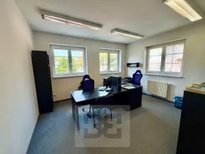 Prodej výrobních prostor, Mladá Boleslav, Ptácká, 1011 m2
