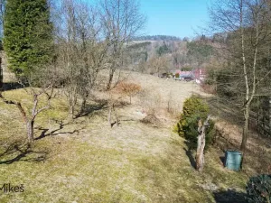 Prodej louky, Železný Brod, 4168 m2