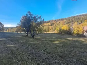 Prodej pole, Stará Ves, 8308 m2