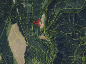 Prodej podílu lesa, Albrechtice, 2552 m2