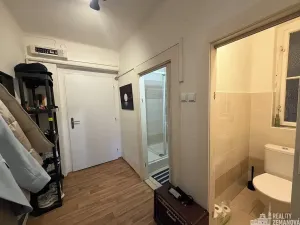 Pronájem bytu 1+1, Praha - Vinohrady, Řipská, 46 m2