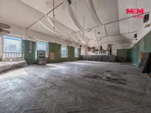 Prodej činžovního domu, Nová Ves - Vepřek, 600 m2