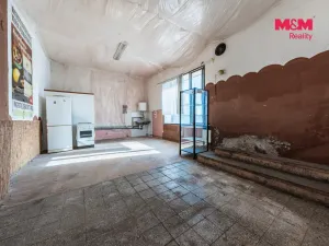 Prodej činžovního domu, Nová Ves - Vepřek, 600 m2