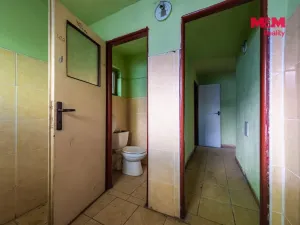 Prodej činžovního domu, Nová Ves - Vepřek, 600 m2