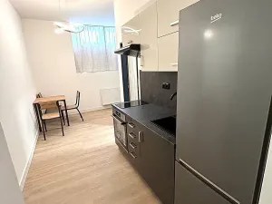 Pronájem bytu 1+1, Praha - Libeň, U Balabenky, 35 m2