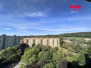 Pronájem bytu 2+1, Chomutov, Holešická, 62 m2