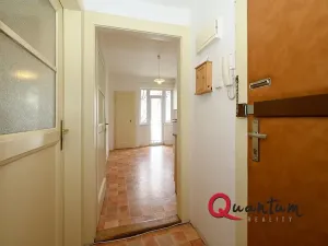 Pronájem bytu 1+1, Praha - Vinohrady, Fričova, 41 m2