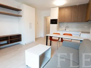 Pronájem bytu 1+kk, Praha - Žižkov, Hartigova, 32 m2
