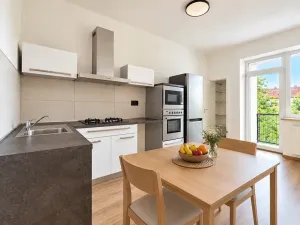 Prodej bytu 2+kk, Brno, 49 m2