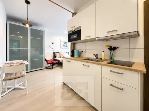 Pronájem bytu 1+kk, Praha - Vršovice, Moskevská, 28 m2