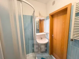 Pronájem bytu 1+kk, České Budějovice, Lipenská, 33 m2